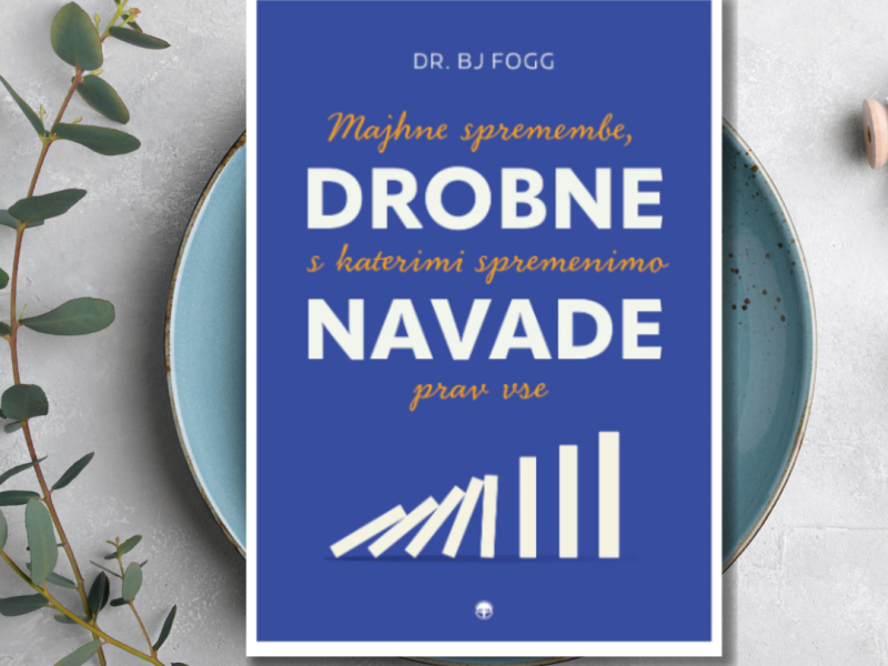 Dr. BJ Fogg: DROBNE NAVADE_slika